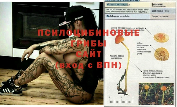 гашиш Алзамай