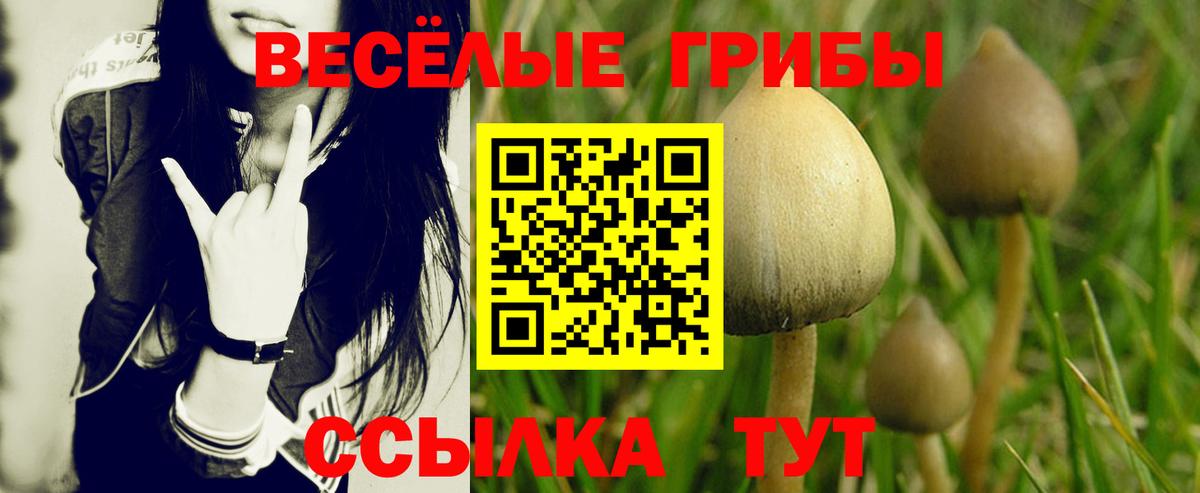 Галлюциногенные грибы мухоморы Усинск